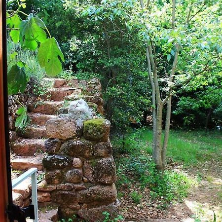 Belle Et Grande Maison Ardechoise Payzac  Exteriör bild