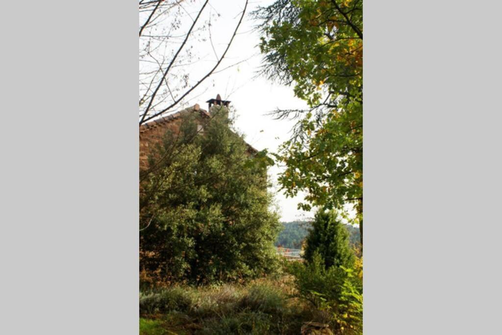 Belle Et Grande Maison Ardechoise Payzac  Exteriör bild