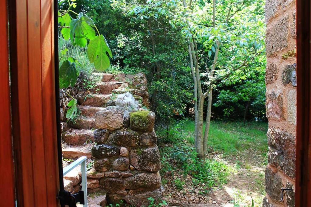 Belle Et Grande Maison Ardechoise Payzac  Exteriör bild